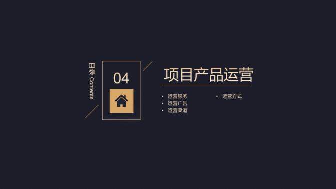 高端黑金商業(yè)計劃書PPT模板