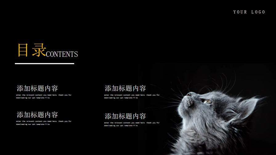黑色简约萌宠宠物主题项目介绍免费PPT模板