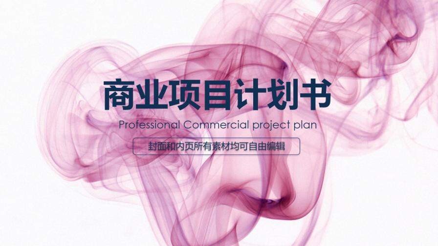 公司商业项目计划书PPT模板