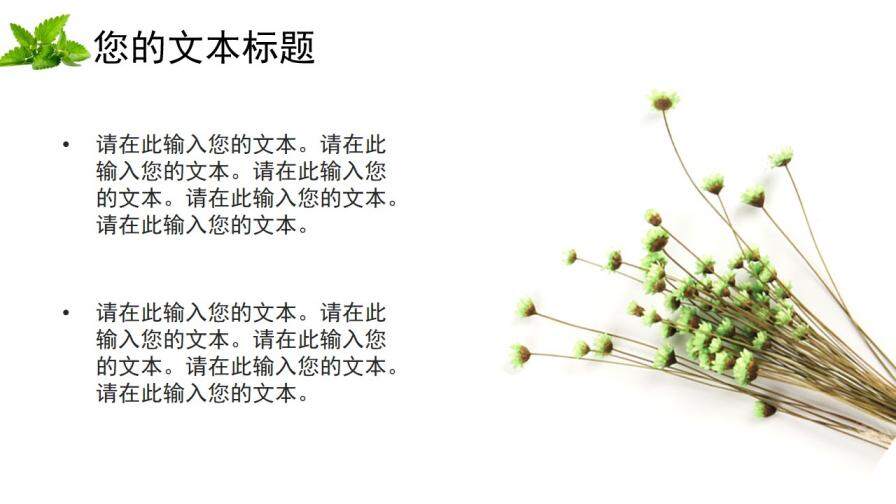 桃花春草香小學(xué)教學(xué)課件PPT模板