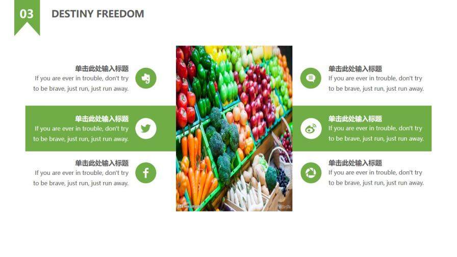 绿色生态水果蔬菜农产品介绍宣传PPT模板