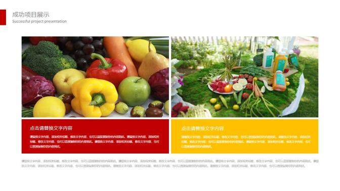 簡潔商務食品安全工作計劃報告總結PPT模板