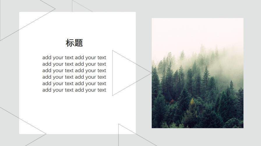 森林主題歐美風(fēng)簡(jiǎn)約PPT模板