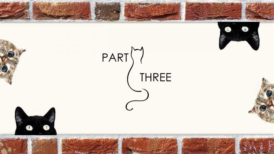 简约创意猫咪主题商业计划书PPT模板