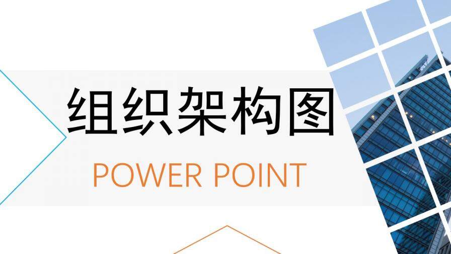 動態(tài)彩色組織架構(gòu)圖組織結(jié)構(gòu)PPT模板