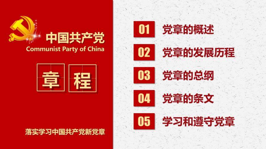 落實學習十九大中國共產(chǎn)黨新章程黨章建設PPT模板