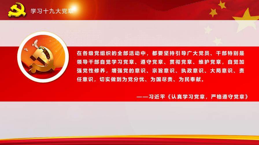 全方位解读中国共产党章程政府工作PPT模板