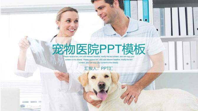 小清新宠物医院工作汇报PPT模板