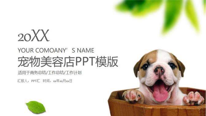 宠物美容店品牌推广工作计划PPT模版