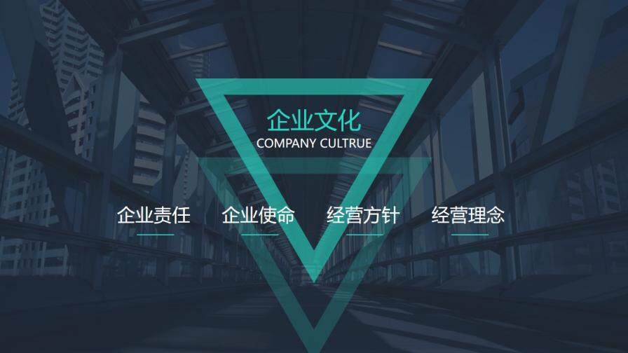 大氣企業(yè)公司介紹簡(jiǎn)介PPT模板