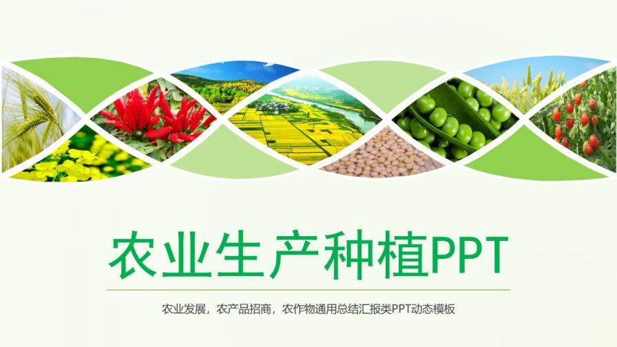 环保绿色食品农作物丰收新农村建设农产品推广PPT模板