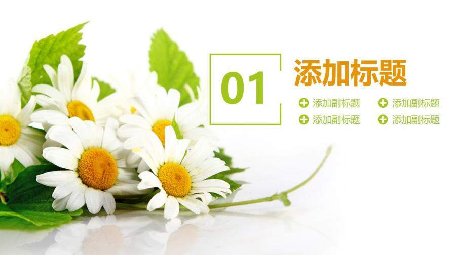 202X簡(jiǎn)約清新計(jì)劃總結(jié)年度匯報(bào)動(dòng)態(tài)PPT模板