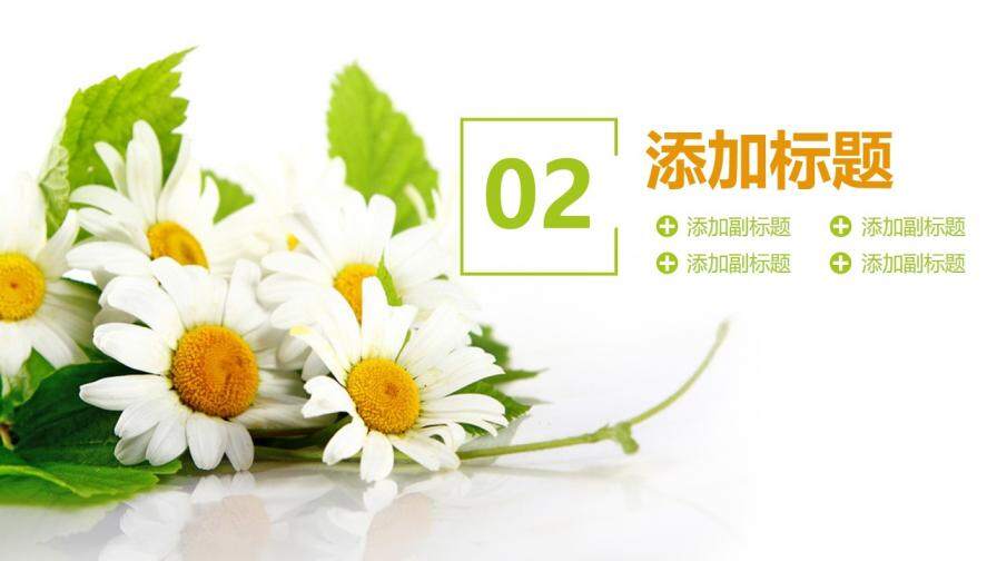 202X簡(jiǎn)約清新計(jì)劃總結(jié)年度匯報(bào)動(dòng)態(tài)PPT模板