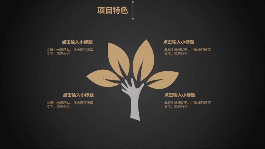 202X年奢华黑金商业融资创业计划书