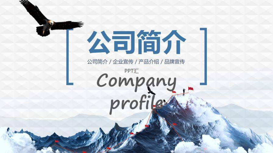 公司简介企业宣传品牌推广PPT模板