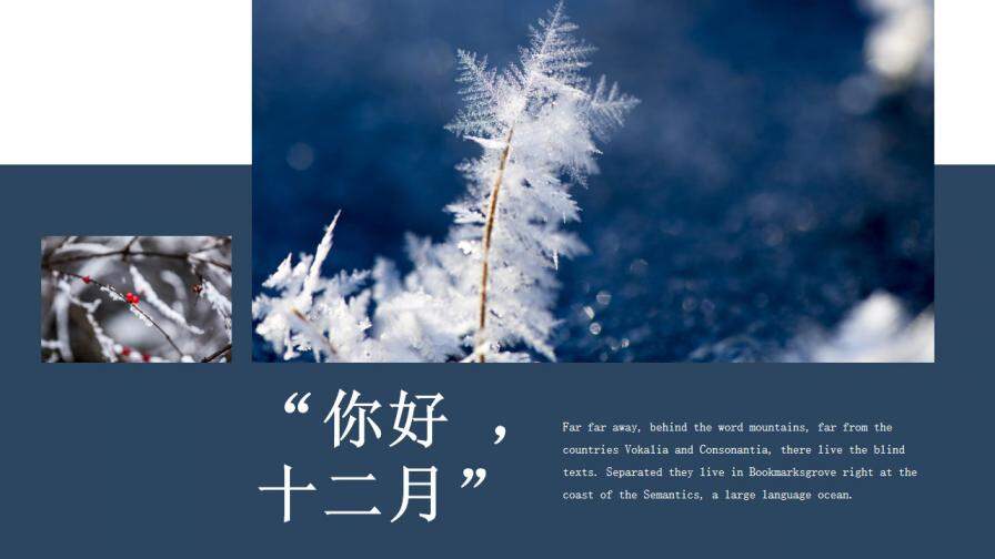 藍(lán)色通用冬天大雪簡約相冊圖片展示宣傳PPT模板