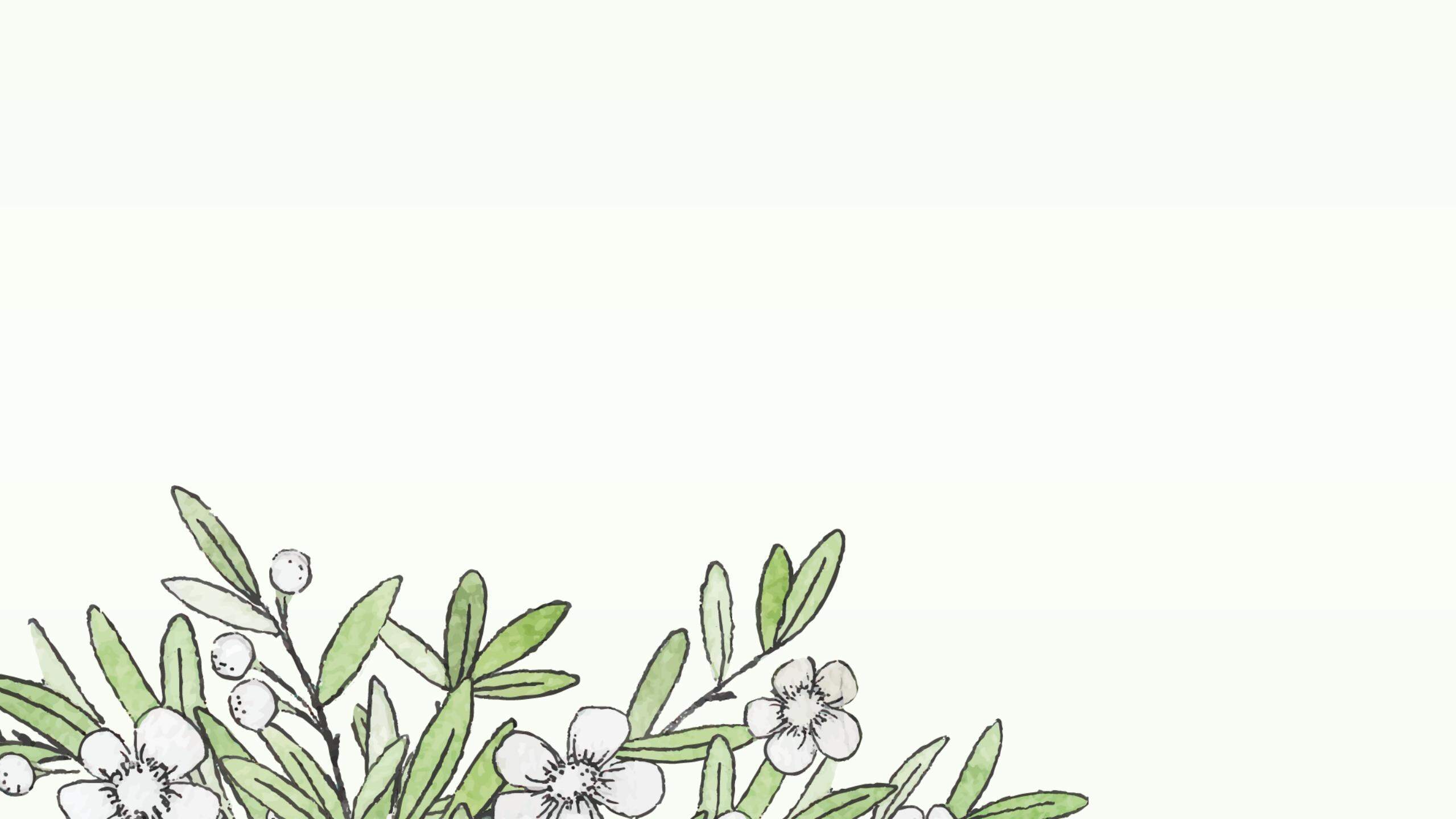 四张水彩绿叶白花植物PPT背景图片