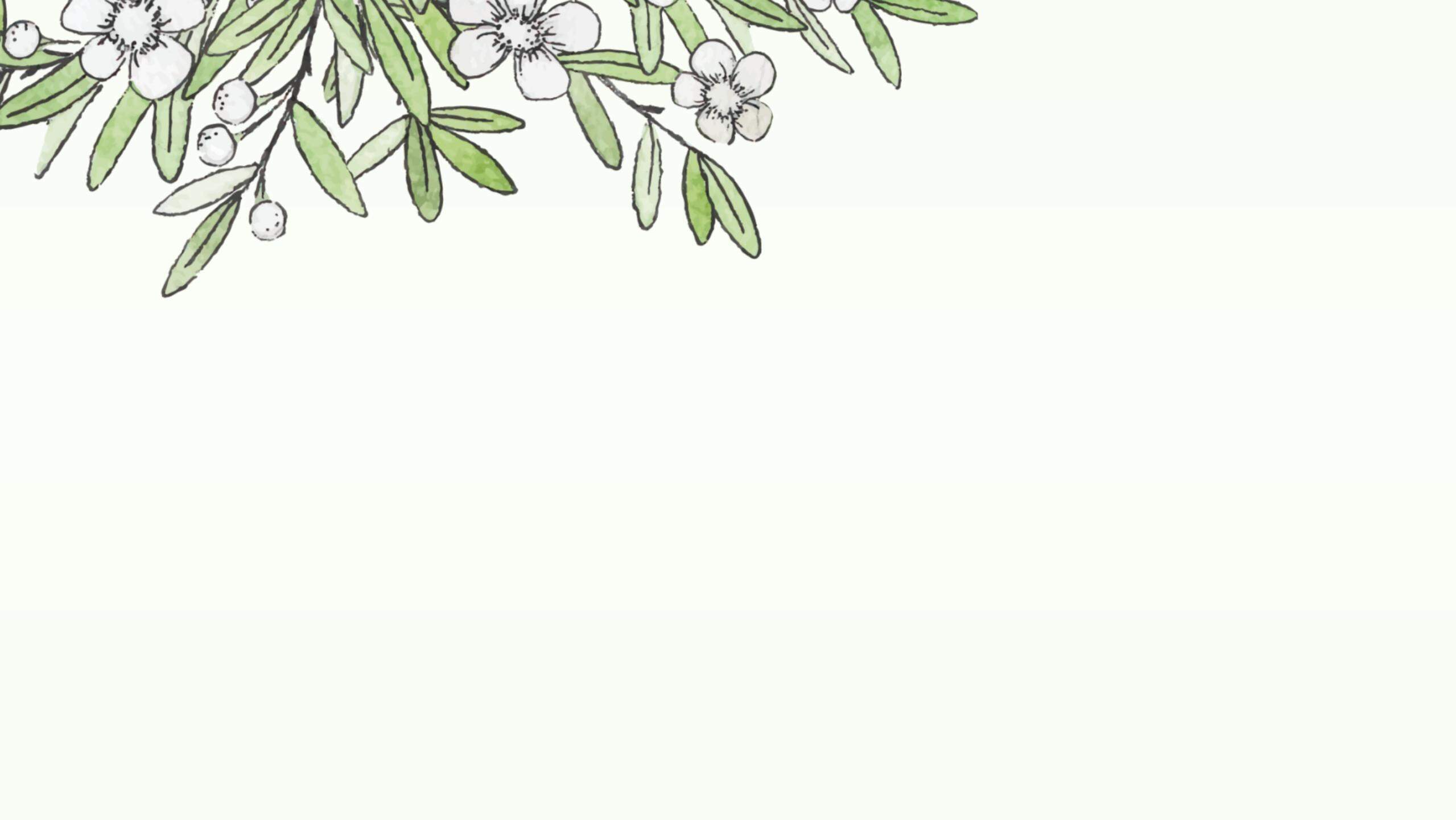 四张水彩绿叶白花植物PPT背景图片