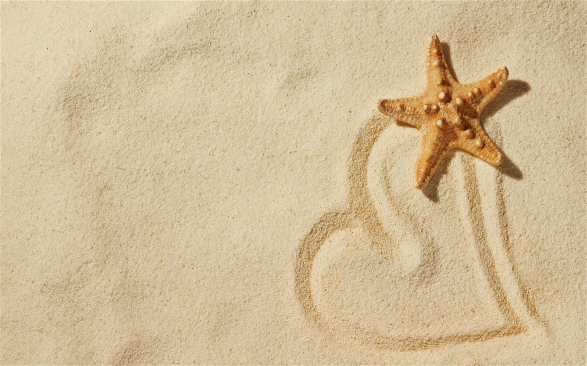 沙滩海星贝壳幻灯片背景图片