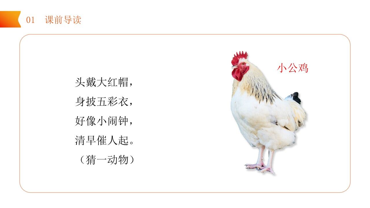 《小公鸡和小鸭子》小学语文一年级下册PPT课件（第3.1课时）
