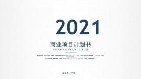 2021年簡約風商業(yè)項目計劃書PPT模板