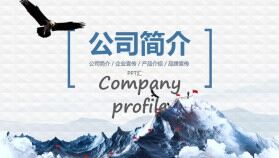 公司簡(jiǎn)介企業(yè)宣傳品牌推廣PPT模板