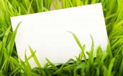 绿色植物草地白色卡片PPT背景图片的封面图片