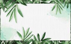 四张植物叶子PPT边框素材的封面图片