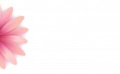 粉色精美花瓣PPT背景图片的封面图片