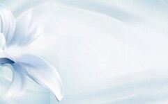 蓝色淡雅花卉PPT背景图片的封面图片