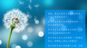 夢幻唯美蒲公英PPT背景圖片