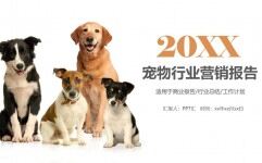 2023寵物行業營銷報告商業創業計劃書PPT模板