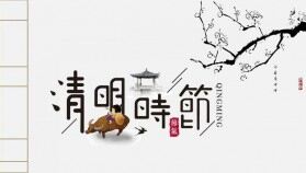 簡(jiǎn)約古典大氣清明節(jié)PPT模板