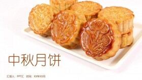 簡(jiǎn)潔商務(wù)實(shí)用中秋月餅產(chǎn)品宣傳PPT模板