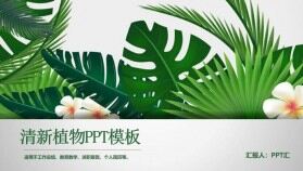 清新綠色植物節(jié)能環(huán)保教育教學(xué)工作總結(jié)PPT模板