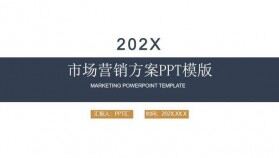 商務實用市場分析調查市場營銷方案PPT模板