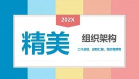 炫彩多姿202X年組織架構工作總結(jié)PPT模板