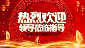 紅色簡(jiǎn)約歡迎領(lǐng)導(dǎo)指導(dǎo)工作PPT模板