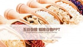 粗糧谷物產(chǎn)品宣傳工作總結PPT模板