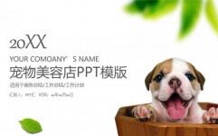 宠物美容店品牌推广工作计划PPT模版