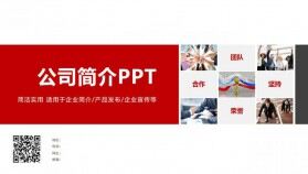 公司簡(jiǎn)介企業(yè)展示宣傳PPT模板